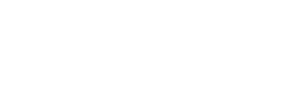 RASD2027